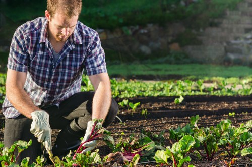 Logo or garden image representing Gardener Camden Town