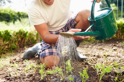 Professional gardener performing summer maintenance in Camden Town