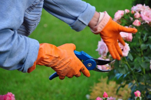 Gardening team with insurance documents and safety gear