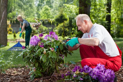 Professional garden maintenance team working in Camden Town