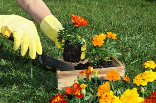 Free quote clipboard held by gardener in Camden street