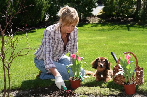 First aid kit and safety helmet placed beside gardening tools