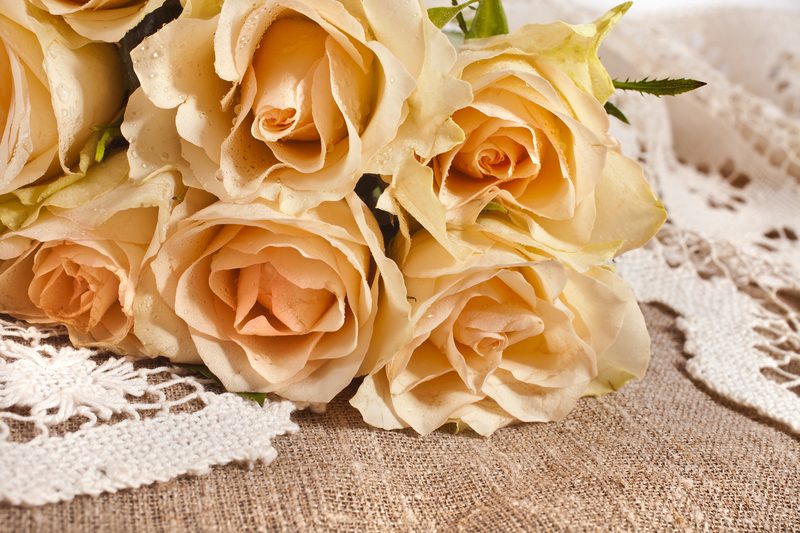 garden design landscape design